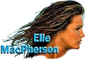 Elle MacPherson